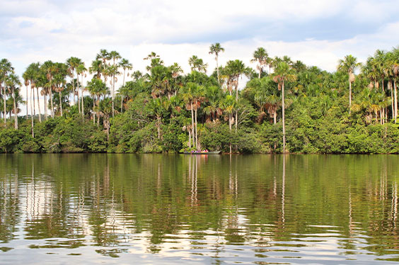 Tambopata_PeruLeisure_25122023_2C.jpg
