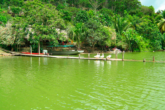 Tarapoto_CPITours_31012023_C-3.jpg