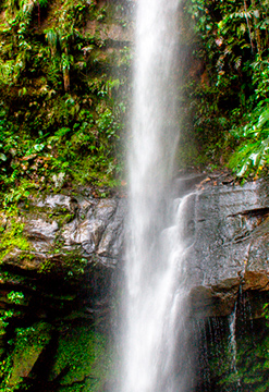 Tarapoto relax