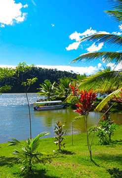 Tarapoto: naturaleza y aventura