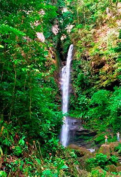 Tarapoto de encanto