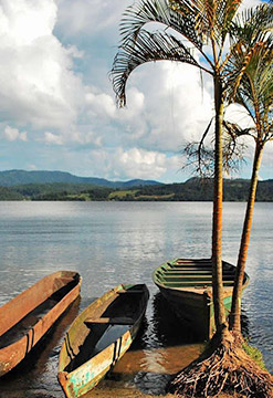 Tarapoto relax en la selva
