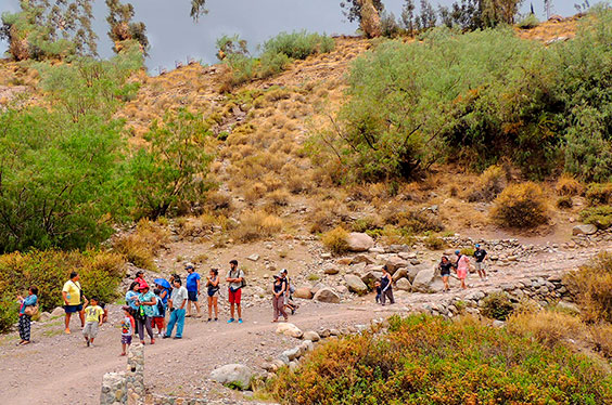 Tarata_descumbre_13012023_1C-1.jpg