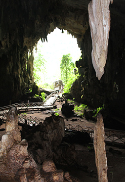 Tingo María Full Aventura