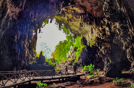 Tingomaria_inefable_09032023_C-3.jpg
