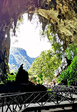 Tingo María: Naturaleza