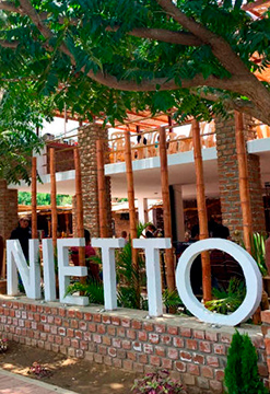 Tour de viñedos en Ica