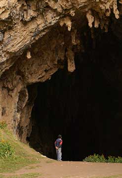 Tour en el Valle de las flores