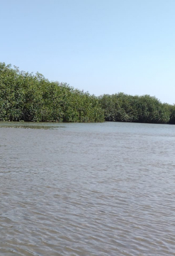 Tumbes: Playas, manglares y montaña