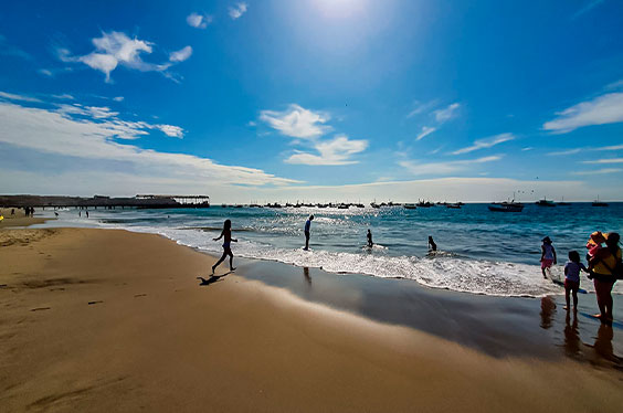 VIchayito-nortepalmeras_11012023_1B-3.jpg