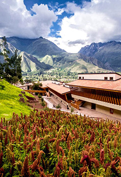 VALLE SAGRADO CONEXIÓN MACHUPICCHU