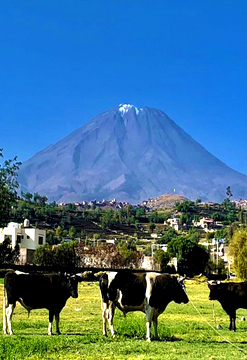 Arequipa Tour Combinado