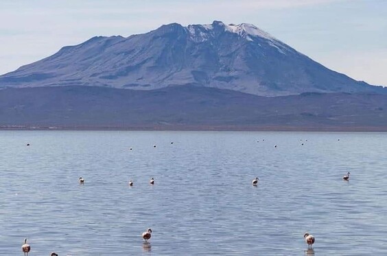 arequipa-tradicional_17-2