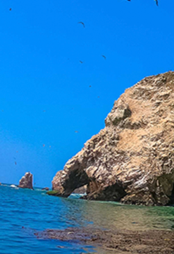 Full Day aventurero Ica Paracas