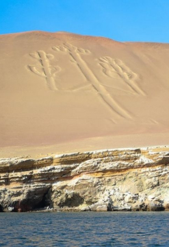 Paracas Encantador