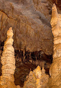 Chachapoyas Presuroso