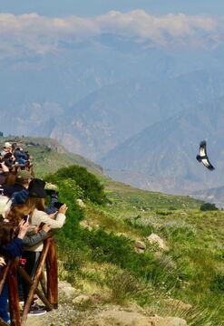 Colca Mágica