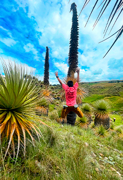 Cultura Inca Vilcashuamán