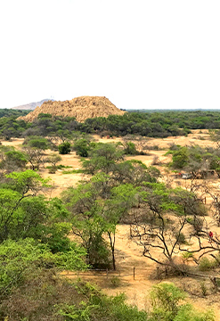 Ruta Descubre - Lambayeque