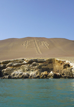 Disfruta Paracas