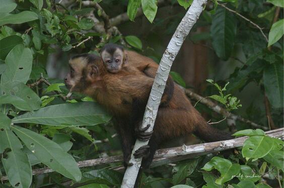 eco-jungla_26012022_28-2
