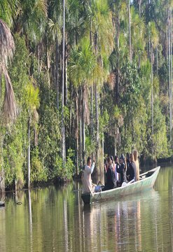 Eco Selva