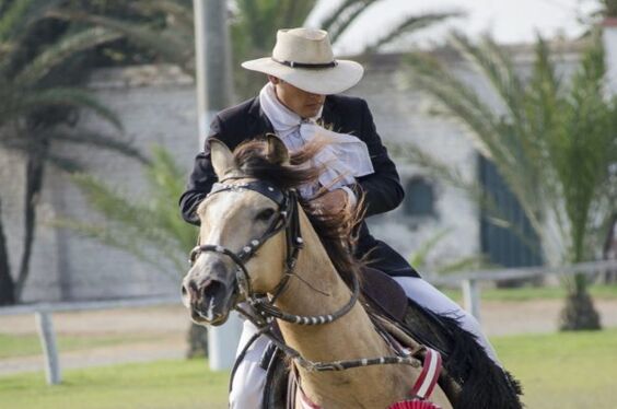 Full Day completo en Trujillo