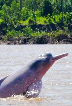 Iquitos Mágico y Natural