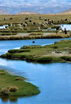Laguna de Salinas y la Reserva Nacional de Aguada Blanca