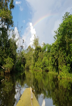 El encanto de Yarinacocha