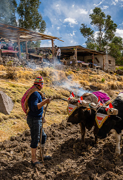 Lo Mejor de Arequipa