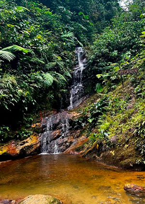 Tarapoto en medio de la selva