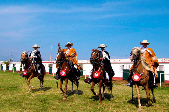 oferta-sl-1-lalibertad-norte-misterioso.jpg