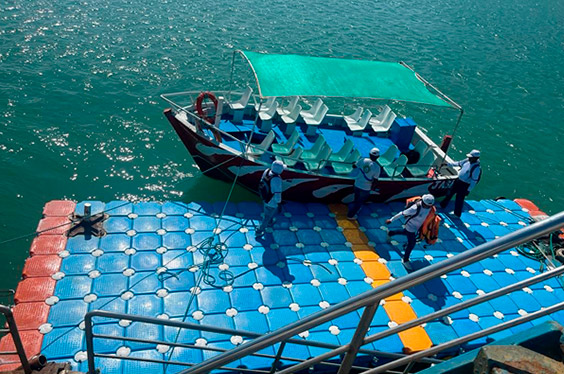 oferta-sl-1-piura-nuro-snorkeling-tortugas-marinas.jpg