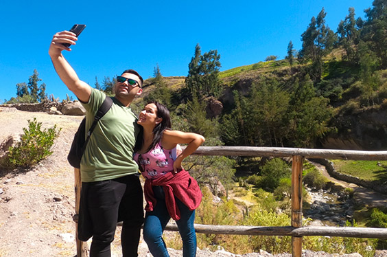 oferta-sl-1-tacna-tacna-y-arica.jpg