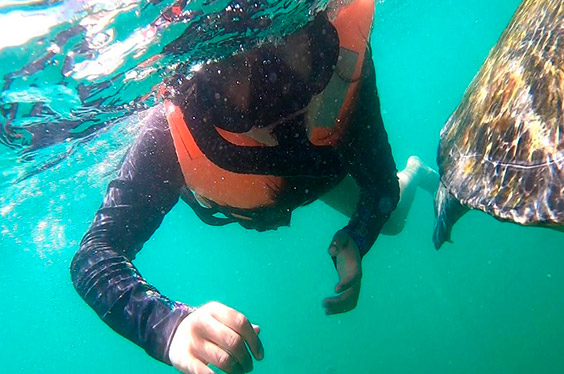 oferta-sl-2-piura-nuro-snorkeling-tortugas-marinas.jpg