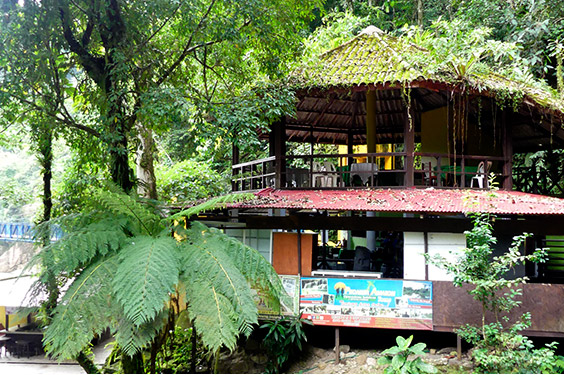 oferta-sl-2-ucayali-frescura-catarata-velo-novia.jpg
