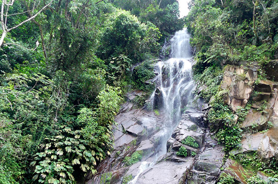 oferta-sl-3-ucayali-frescura-catarata-velo-novia.jpg