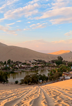 Paracas - Ica - Chincha