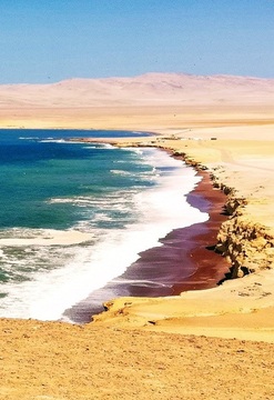 Paracas, Ica y Nazca Total