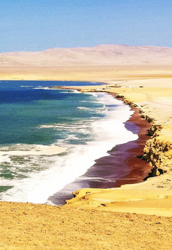 Paracas Natural
