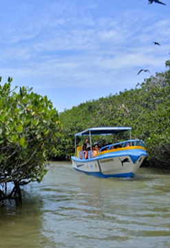 Piura, Máncora y Tumbes