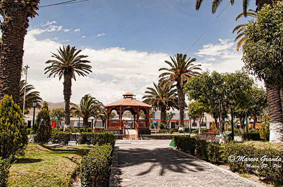 ruta-del-loncco_06102022_9-1.jpg