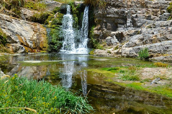 ruta-del-loncco_06102022_9-3.jpg