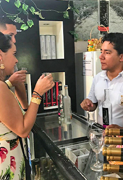 Ruta del Pisco Clásico