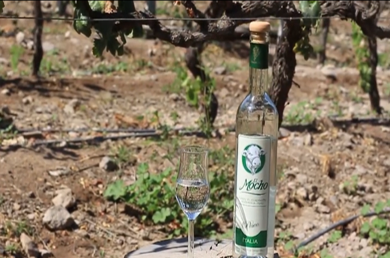 ruta-del-pisco_carrusel_19-1