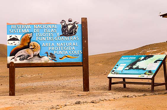 ruta-ilo_21072022_6-1.jpg