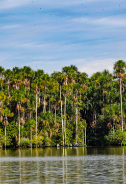 Sandoval Lake Lodge en la Reserva Nacional Tambopata