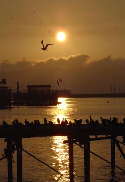 Rumbo al Sunset