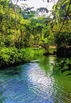Encanto de Naturaleza